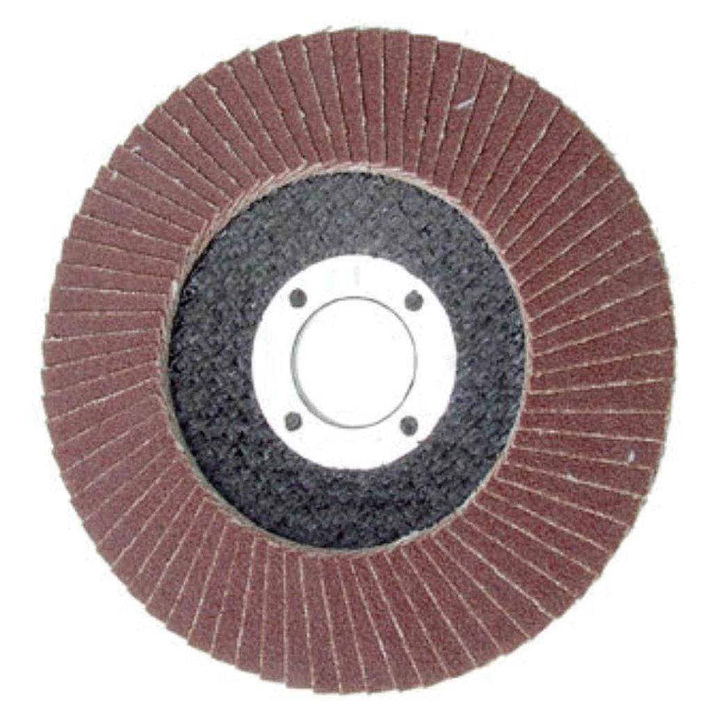 Flap Disc 100mm #80