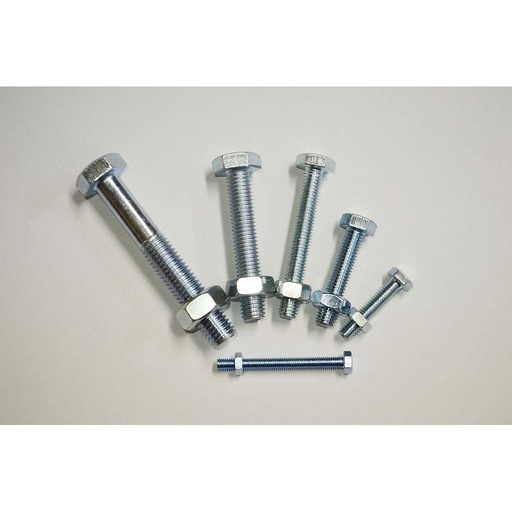 10pc Hex Head Bolt M8x40